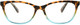 Foster Grant Women's Teresa Cat-Eye Reading Glasses