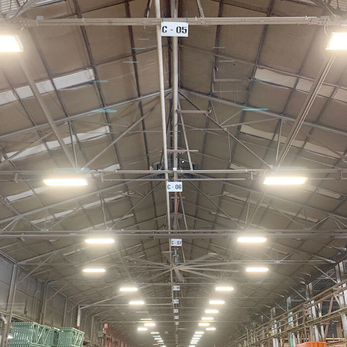 Warehouse Lighting Surveys & Solutions
