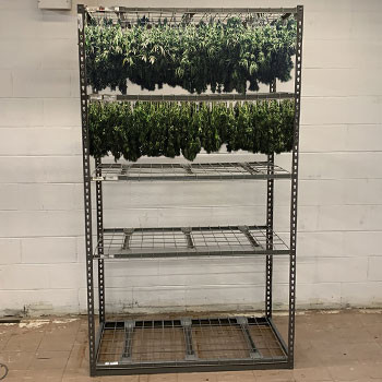 24" x 48" x 84" Cannabis Drying Rack - 199421ST - Warehouse One, Inc.