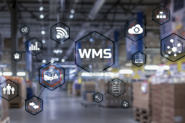 Technical background with the words 'Warehouse Management System' in the foreground, illustrating the concept of advanced warehouse technology and inventory management.