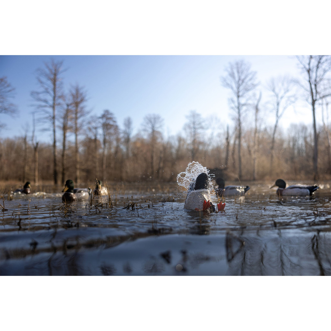 Higdon PRO Series motion decoy running in flooded timber
