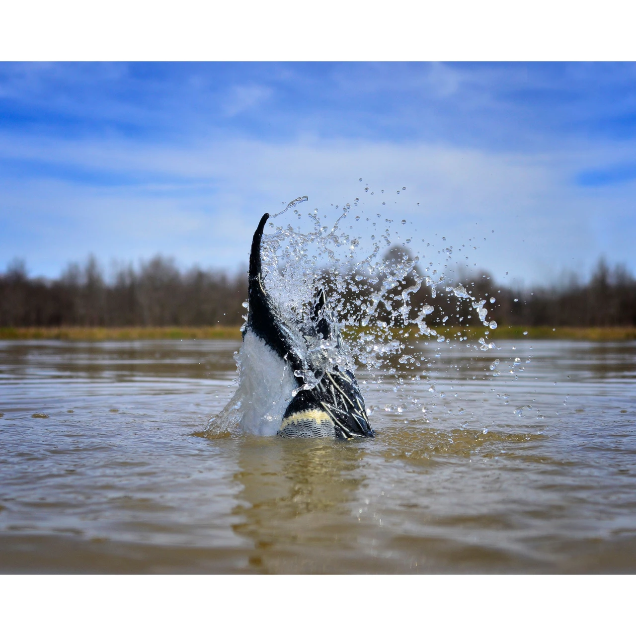 Higdon Pulsator PRO surging water against a blue sky