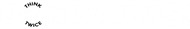 BOND ARMS