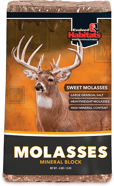 Evolved Molasses Block - 4 lb - Double D Hunting
