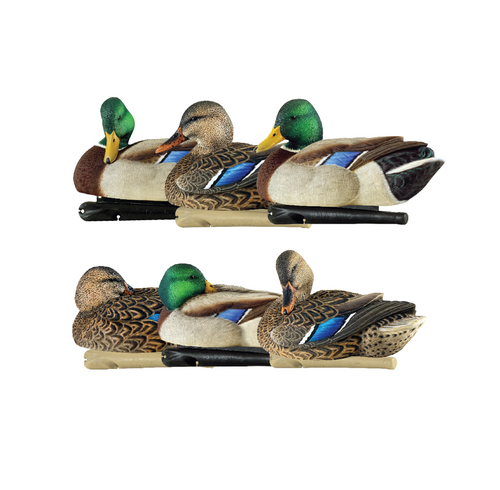 Avian-X TopFlight Mallards Rester/Preener Pack - 6 Floating Decoys - image 2