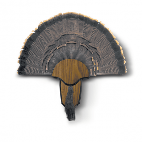 H.S. Strut turkey tail and beard mounting kit plaque