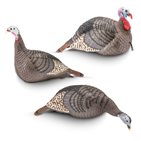 Strut-Lite The Flock, jake, upright hen, and feeding hen decoys together