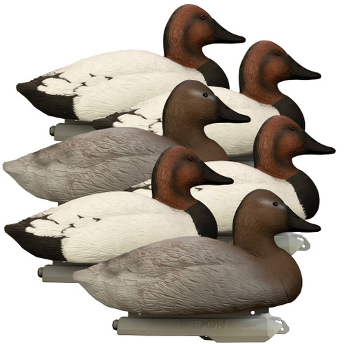 Higdon Battleship Canvasback Decoys - 6 Pack