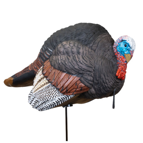 Higdon Hard Body Breeding Jake Turkey Decoys