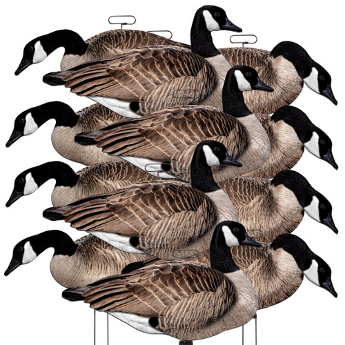 Higdon FLATS Canada Goose Motion Silhouette - 12 Pack