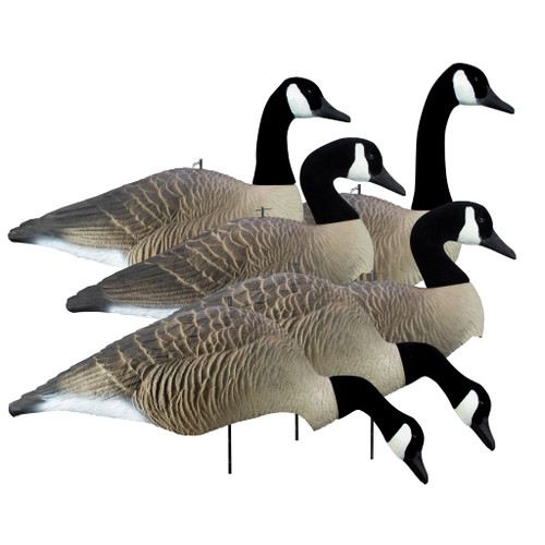 Higdon Alpha Wobbler Magnum Canada Full-Form Shell - 6 Pack