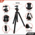 Midas Tripods