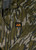 DV8 WS QUEST MW 1/4 ZIP