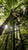 ODYSSEY XTL / 1 MAN / 20' TALL / 350LB WEIGHT RATING / HERCULES SAFETY SYSTEM