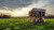 VS360 GROUND BLIND / 77” SHOOTING WIDTH / 70” TALL / 21.5 LBS
