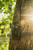 REVOLVER™ PRO 2.0 / 360° CELLULAR CAMERA / 40MP