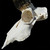 BoneBrite Whitening/Degreaser Kit including skull hanger