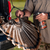 FanLok - Turkey Tail Preservation