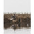Ducks Unlimited Alpha Dog Blind - Tan