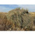 Alpha Waterfowl Blind - Tan