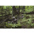 Impact Pro Vest - Original Bottomland