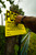 HME Sign - Posted Private Property (12 Pack)