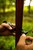 HME T-Post Trail Camera Holder