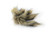 HME Wildgame Mantis Pro Decoy