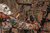 Hawk Tactical Trio Hybrid Tree Hook view 8