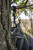 Hawk Claw Hanging Hooks - 2 Pack view 2
