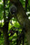Hawk Speed Retract Hoist Reel view 2