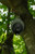Hawk Speed Retract Hoist Reel view 3