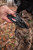 Hawk Jaw Hook Hoist Rope view 4