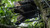 Big Game Captain XC Fixed-Position Treestand view 3
