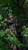 Big Game Captain XC Fixed-Position Treestand view 4
