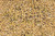 Evolved 5 Card Draw Food Plot - 10 lb view 5