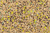 Evolved 7 Card Stud Food Plot - 10 lb view 4