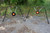 Viking Solutions AR500 Steel Gong Target Combo - 8 in & 10 in - Double D Hunting