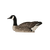 Avian-X TopFlight Honkers - 4 Floating Decoys - image 4