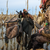 Avian-X Ultimate Gear Stick - image 3