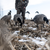 Avian-X AXF Lessers Outfitter Pack - 12 Decoys with 12-Slot Bag - image 3