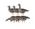 Avian-X AXP Specklebelly Fusion Pack - 6 Decoys - image 2