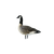 Avian-X AXP Lessers Active Pack - 6 Decoys - image 3