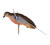 Avian-X PowerFlight Spinning Wing Dove Decoy - image 4