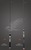 Phenix Mirage Rod - image 1