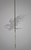 Phenix Mirage Blank - image 1