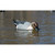 Higdon Battleship Swimmer PRO - Pintail