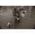 Higdon Battleship Swimmer PRO Decoy - Mallard Drake Guide Pack