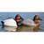 Higdon Battleship Canvasback Decoys - 6 Pack
