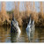 Higdon Magnum Duck Butt Pintail - 2 Pack